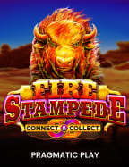 สนุกกับสล็อต ครบ ทุก ค่ายเว็บ แทง บอล อย่าง เดียว ที่คุณไม่ควรพลาด