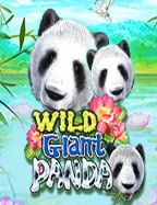 เกมส์ แคน ดี้ ออนไลน์: สนุกหวานหอมแบบยกกำลัง