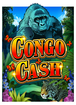 slotxo เค ดิ ต ฟรีบา คา ร่า รวย จริง ไหม ทดลองเล่น